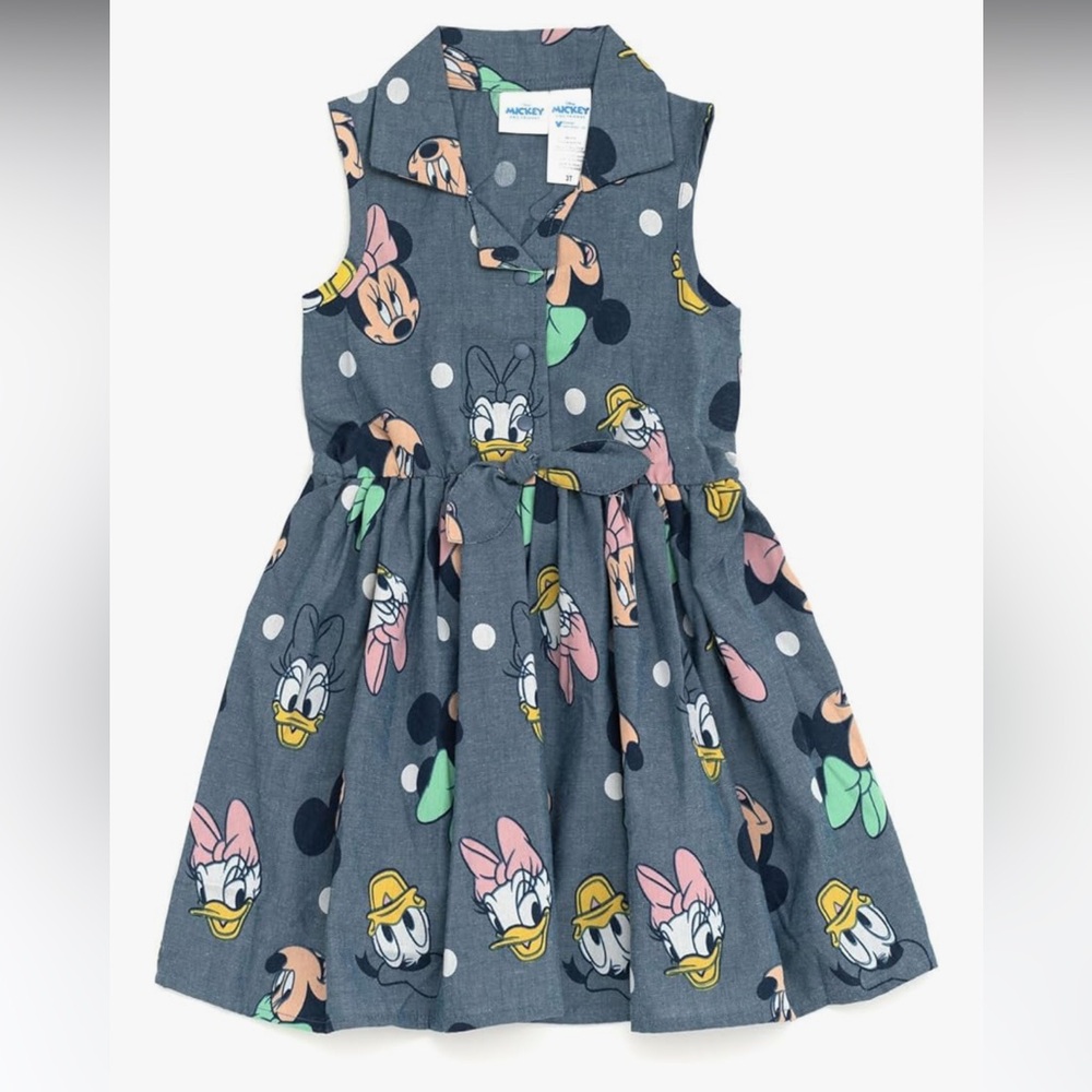 Disney Floral Chambray Skater Dress, Blue Gray